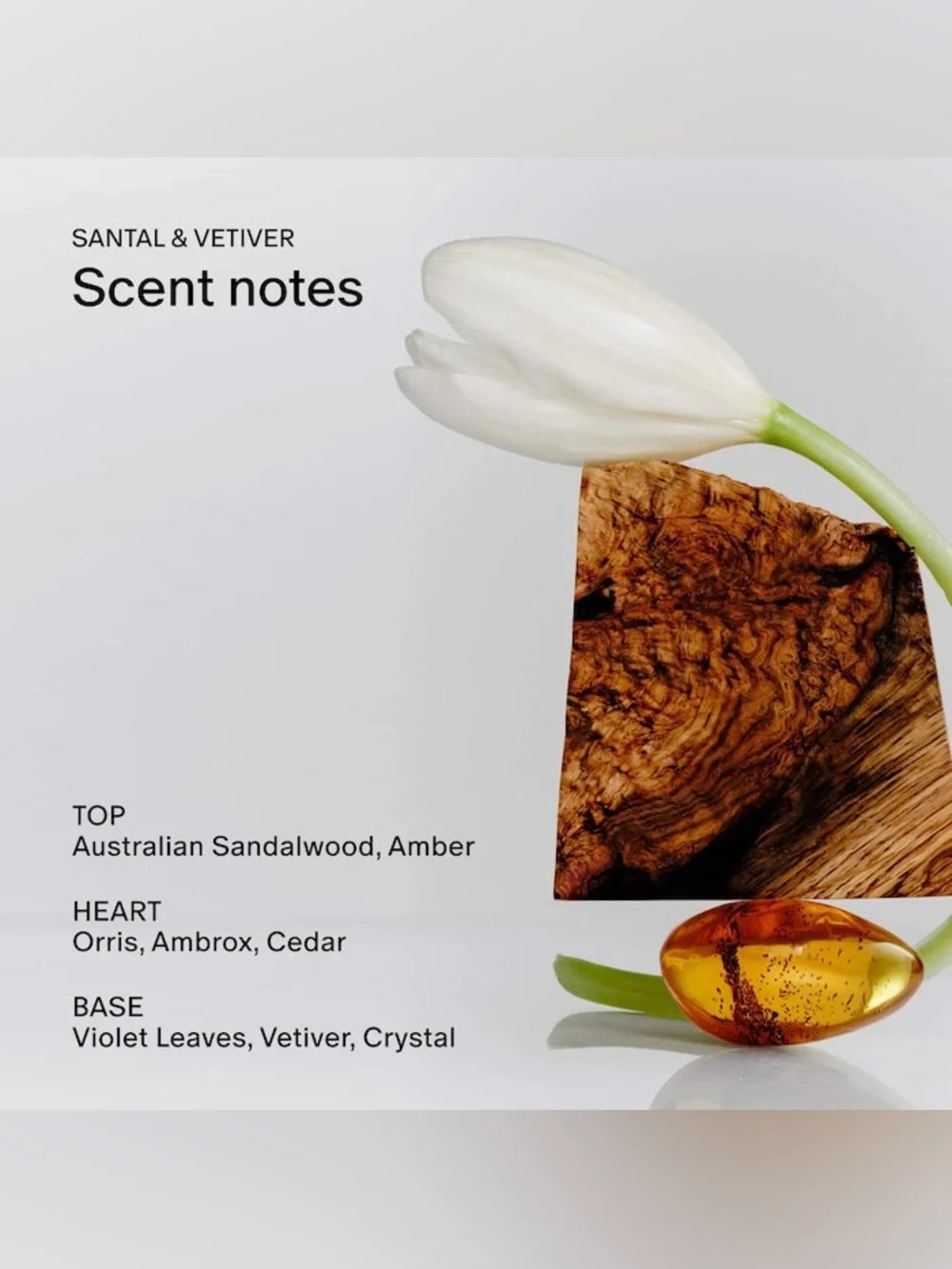 Salt & Stone Deodorant Santal & Vetiver 1 oz (28 g) Travel Size ~ NEW